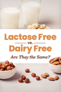 Infographic-style graphic featuring glasses of milk, plant-based milk, and small bowls of nuts, with central bold text reading "Lactose Free vs. Dairy Free: Are They the Same?".